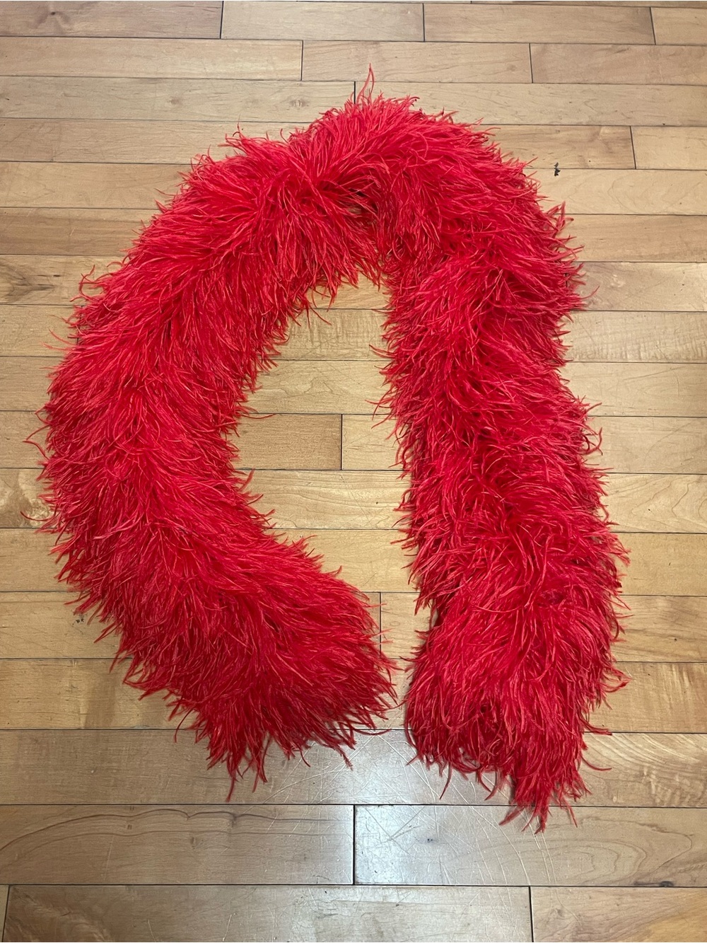 Red Ostrich Feather Boa burlesque festival Mardi Gras
